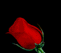 آواتار کاربر