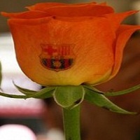 آواتار کاربر