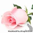 آواتار کاربر